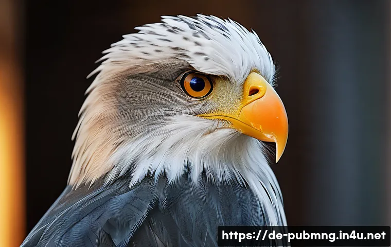 공공관리사 시험 준비 중 가장 중요한 팁 관련 이미지 1